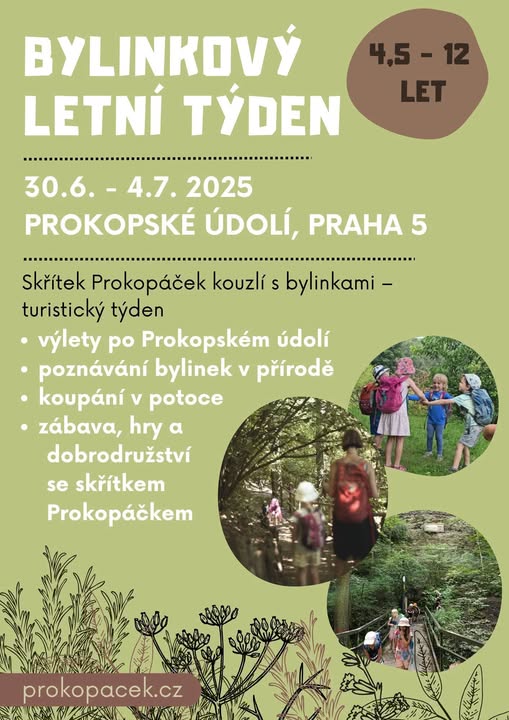 bylinkovy.jpg