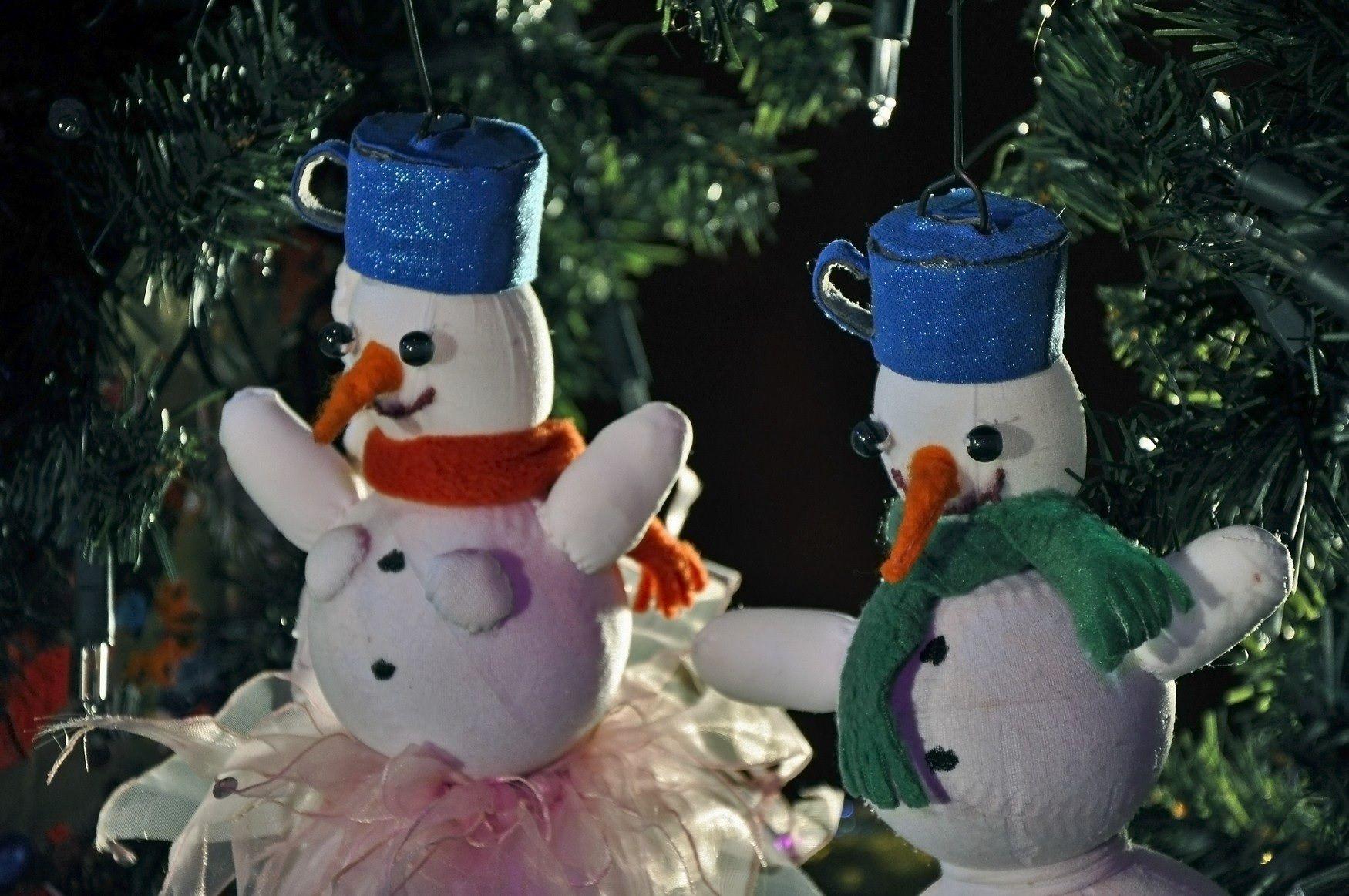 Dvojprogram pro děti: pohádka Vánoční svatba sněhuláka Karla + koncert Žampion