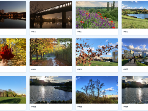 Hlasujte pro nejhezčí fotku od sousedů ze třináctky. Hrajeme o zajímavé ceny partnerů.