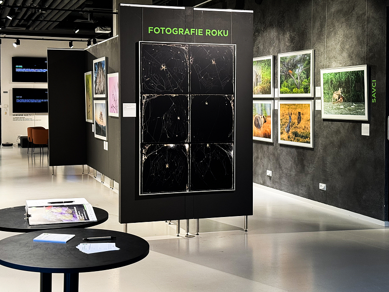 Fotografie 1