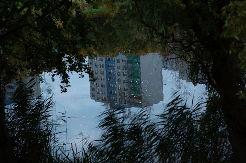 Fotografie 1