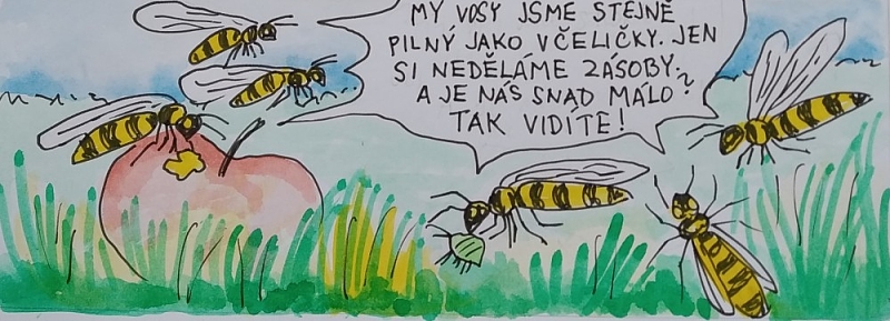 Fotografie 1