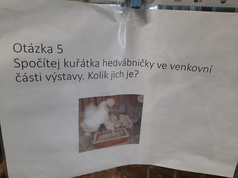 Fotografie 14