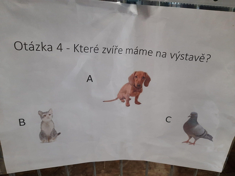 Fotografie 9