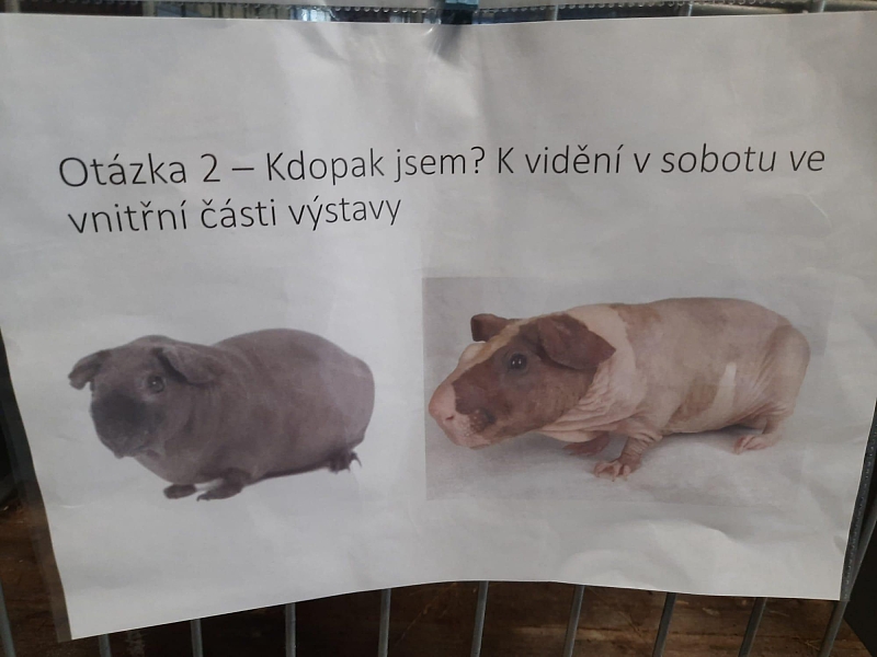 Fotografie 19