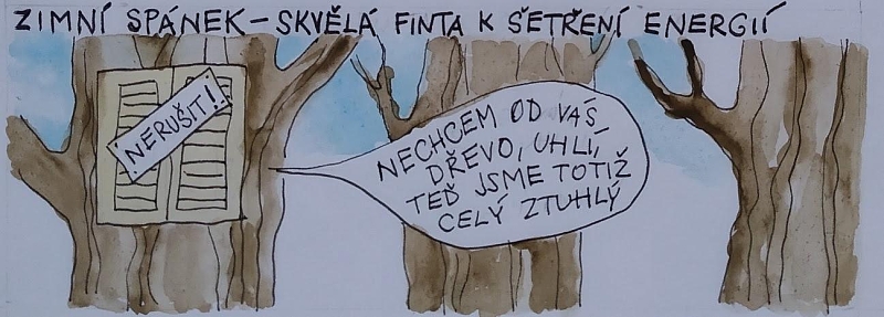 Fotografie 1
