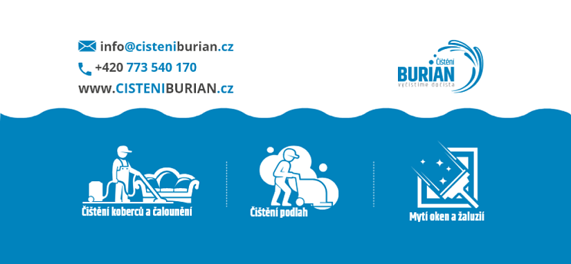 Čištění Burian