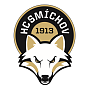 Logo partnera