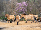 Sobotní oslava v pražské zoo