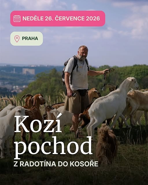 Fotografie 1