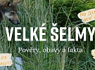 Ke stažení: publikace Velké šelmy: Pověry obavy a fakta