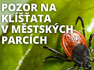 Pozor na klíšťata v městských parcích, jsou nebezpečná, varují odborníci