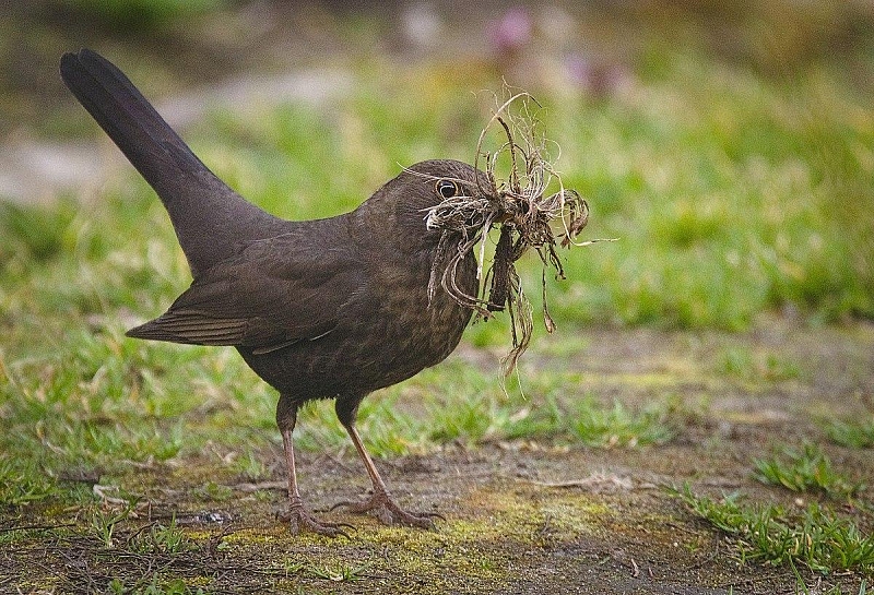Fotografie 1
