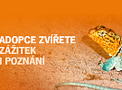 Zvířecí sirotci 2023 aneb Adoptuj mě!