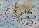 Přírodní zahrádky, permakultury, ekologie a udržitelnost - novinky 7/2023