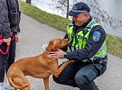 Městská Policie Praha hledá spolupracovníky na pozici chovatel zvířat/odchytová služba