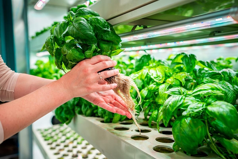 Fotografie 1
