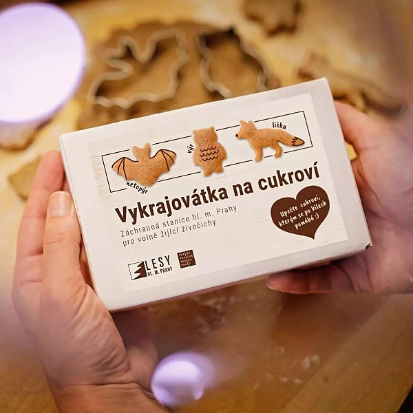 Fotografie 1