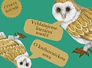 O knihovnickou sovu 2024