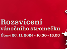 OC Lužiny. Rozsvícení vánočního stromečku.
