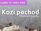 Kozí pochod z Radotína do Kuchaříku. Potkejte se s týmem Pražská pastvina.