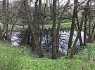 Praha rozdělí městským částem přes 23 milionů korun  na výsadbu zeleně a revitalizaci vodních ploch