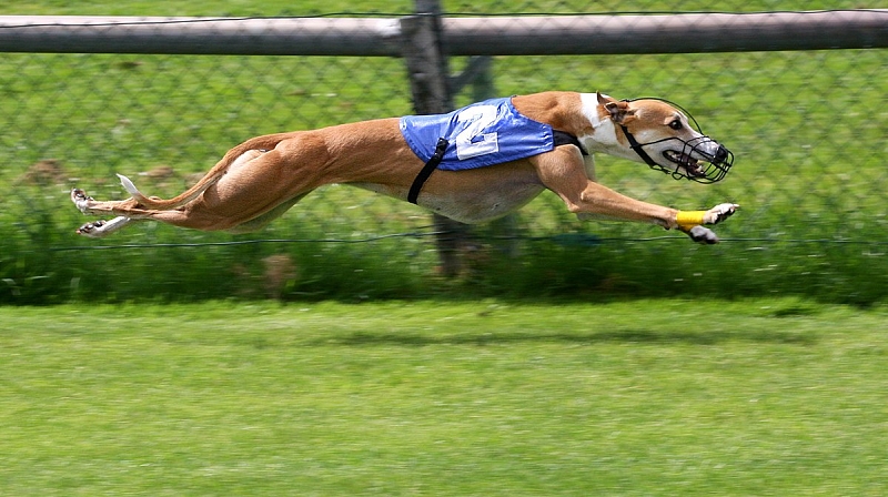 Fotografie 1