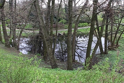 Fotografie 1